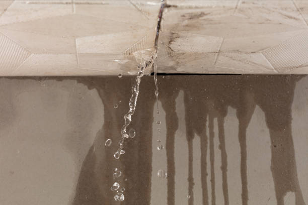 Professional Structural Drying technician working in Menno, SD